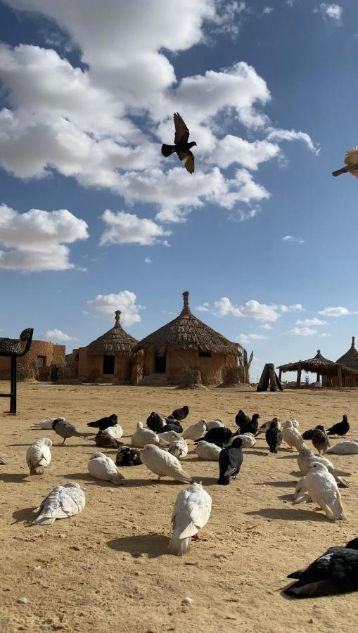 Taghaghien Island Resort Siwa Oasis Экстерьер фото